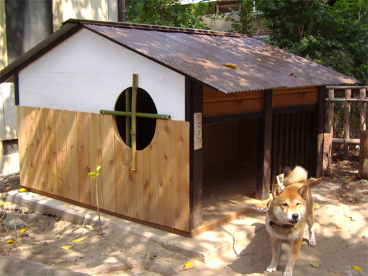 犬小屋リフォーム