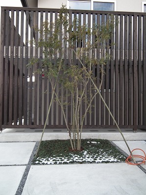 滋賀県大津市　モデルハウス